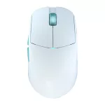 Polar White