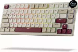 Royal Kludge RK N80 Low profile