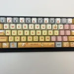 Xingxiang Persimmon Orange
