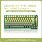 Sinomenine Green (Side-Printed)